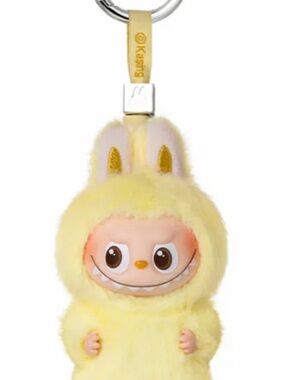 Authentic Pop mart Labubu Pin for Love Letter  F